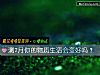 《測7月你的物質<i>生活</i>會變好嗎？》测试