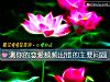 《測你的<i>戀愛</i>頻頻出錯的主要問題》测试