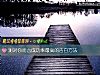《測對你而言<i>成功率</i>最高的告白方法》测试