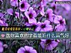 《選你<i>喜歡</i>的字看最近什麼運氣好》测试