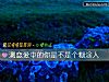 《測<i>戀愛</i>中的你是不是個糊塗人》测试
