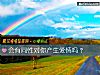 《會有同性對你産生<i>愛情</i>嗎？》测试