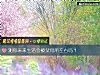 《測你未來<i>生活</i>會被父母所左右嗎？》测试