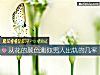 《從花的顔色測你<i>男人</i>出軌的幾率》测试