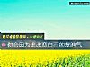 《你會因爲誰<i>改變</i>自己的爆脾氣》测试