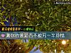 《測你的愛是否不被<i>另一半</i>珍惜》测试
