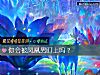 《你會被鳳凰男盯上嗎？》测试