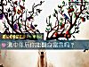 《測中年後你能翻身富貴嗎？》测试