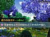 《負面情緒是否會阻礙你走出<i>困境</i>的絆腳石》测试