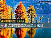 《測試你的<i>婆媳</i>關系是否融洽》测试