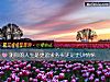 《測你的人生是更追求務實還是更講情懷》测试