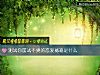 《測試你屢試不爽的<i>戀愛</i>秘籍是什麼》测试