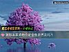 《測你未來的他會是金魚系<i>男友</i>嗎？》测试