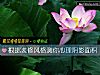 《根據裝修風格測你心理陰影面積》测试