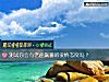 《測試你會有老鹿蹒跚的<i>愛情</i>態度嗎？》测试