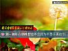 《測一測你在感情裏會不會因爲不善于表達引起<i>矛盾</i>》测试