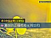 《測你的正緣<i>性格</i>長相如何》测试