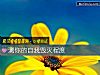 《測你的自我毀滅<i>程度</i>》测试