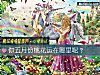 《你五月份<i>桃花運</i>在哪裏呢？》测试