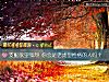 《支配欲望強烈 你會是老虎型<i>性格</i>的人嗎？》测试