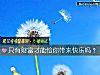 《只有財富才能給你帶來<i>快樂</i>嗎？》测试