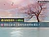 《測你在職場上如何與同事相處最好？》测试