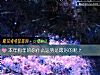 《本年狗年的你什麼運勢是最好的呢？》测试
