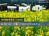 《旅行和工作哪一個能給你帶來<i>桃花運</i>》测试
