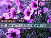《測試你隱藏的<i>心思</i>能被誰看穿》测试