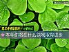 《本年你將在什麼領域取得進步》测试