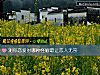 《測你戀愛時哪種怪癖最讓<i>戀人</i>無奈》测试