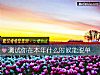 《測試你在本年什麼時候能<i>脫單</i>》测试
