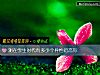 《測在學生時代有多少個異性<i>暗戀</i>你》测试