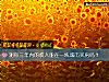 《測你三年內的收入能在一線城市<i>買房</i>嗎？》测试
