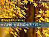 《八月你會<i>遇到</i>真命天子嗎？》测试