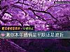 《測你本年<i>感情</i>是平順還是波折》测试