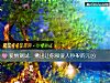 《<i>愛情</i>測試：揪出讓你和愛人吵架的元凶》测试
