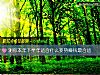 《測你本年下半年適合什麼姿勢賺錢最合適》测试