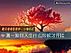 《測一測你<i>人生</i>什麼時候才開挂》测试