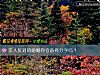 《親人反對的<i>婚姻</i>你會選擇分手嗎？》测试