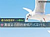 《測最適合你的<i>愛情</i>方式是什麼》测试