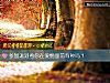 《參加派對看你在<i>愛情</i>面前有種嗎？》测试