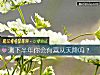 《測下半年你會有喜從天降嗎？》测试