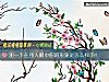 《測一下在別人<i>眼中</i>你的形象是怎麼樣的！》测试