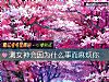 《測女神會因爲什麼事而<i>麻煩</i>你》测试