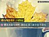 《哪條魚最有靈性 測你在別人<i>眼中</i>值不值錢》测试