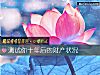 《測試你十年後的財産狀況》测试