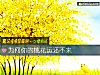 《爲何你的<i>桃花運</i>還不來》测试