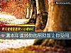 《測本年誰對你的<i>幫助</i>最讓你受用》测试
