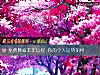 《免費算命本年運程 你的個人運勢如何》测试